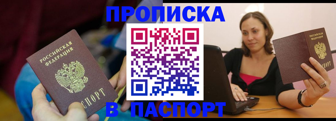 прописка в Вязьме
